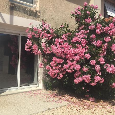 Gite De La Foye - Le Magnolia Combrand Екстер'єр фото